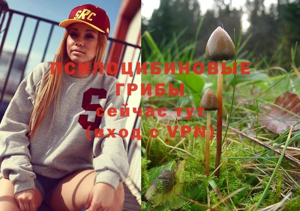 крисы Алексеевка